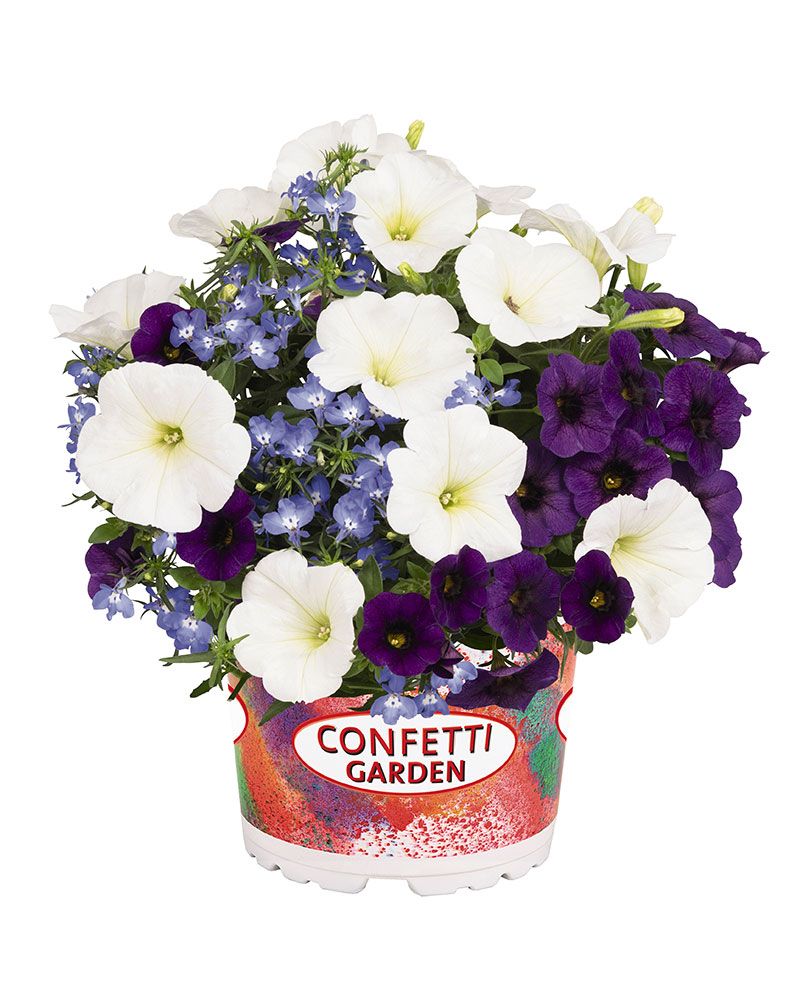 Confetti Waterfall 3 kpl