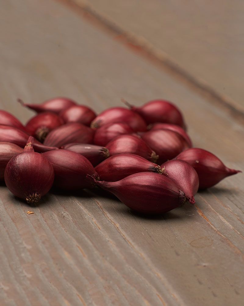 Punasipuli Red Baron 500 g