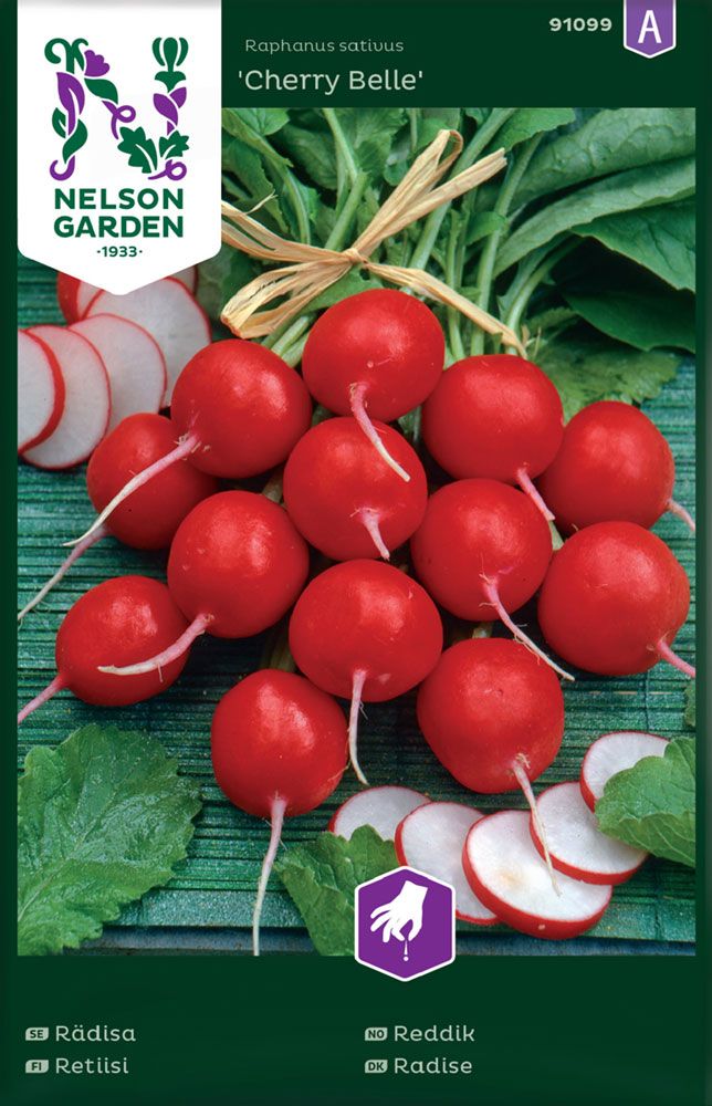 Retiisi Cherry Belle
