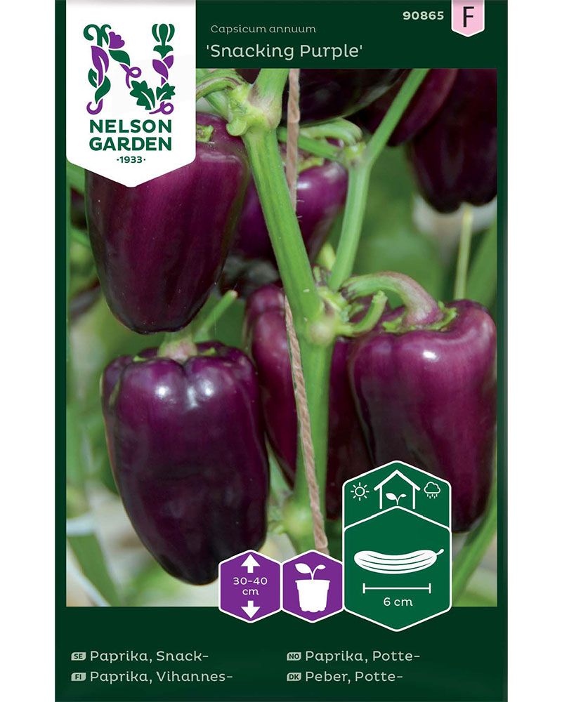 Vihannespaprika Snacking Purple