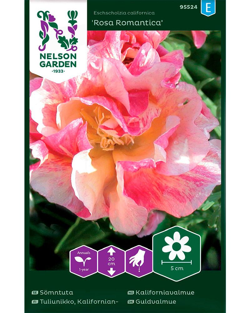 Kaliforniantuliunikko Rosa Romantica