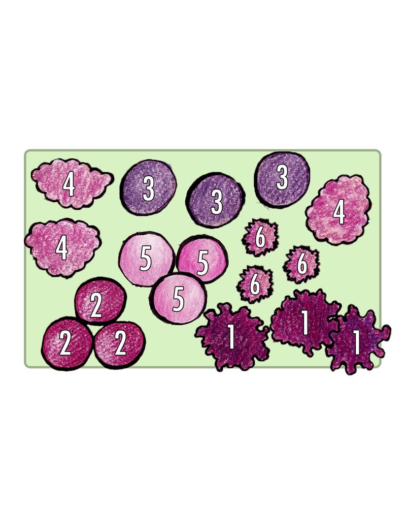 Purppurataivas 2 -perennapenkki 42 kpl