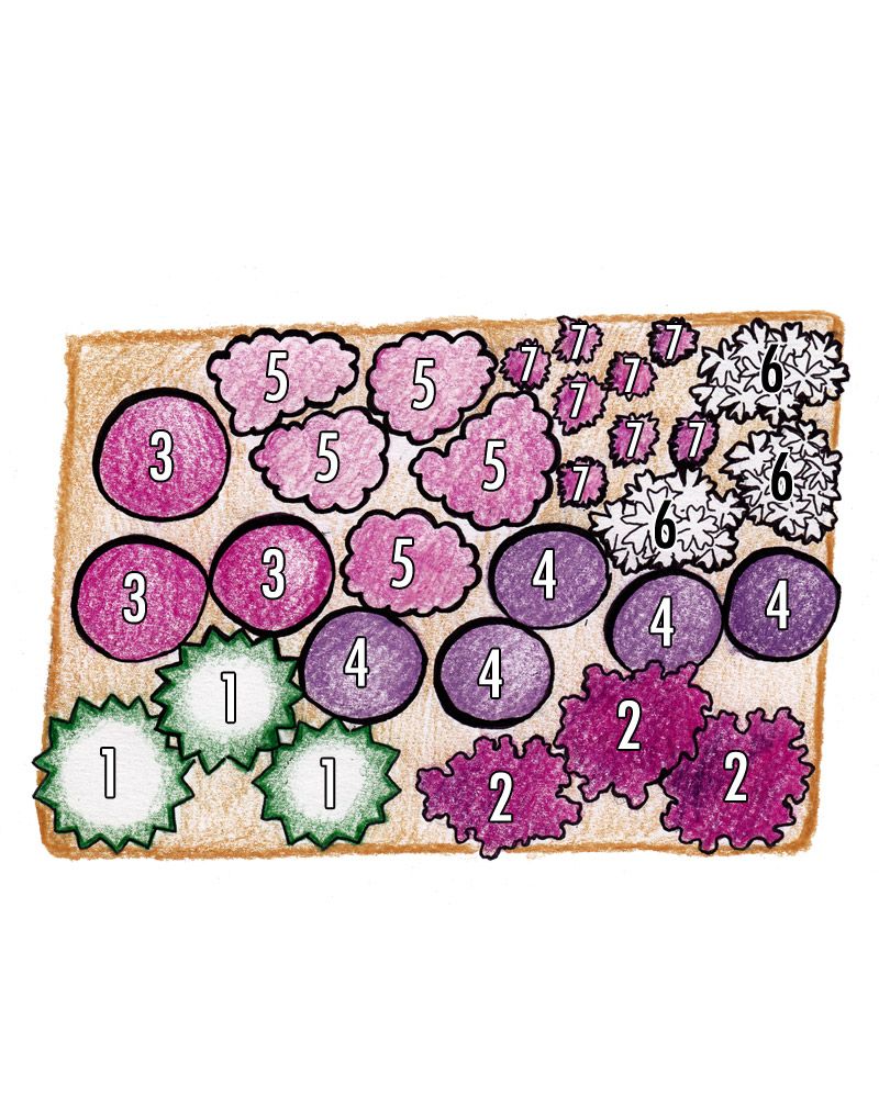 Purppurailta 2 -perennapenkki 23 kpl