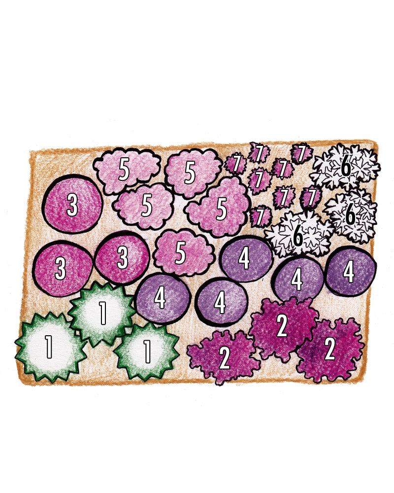 Purppurailta-perennapenkki 47 kpl