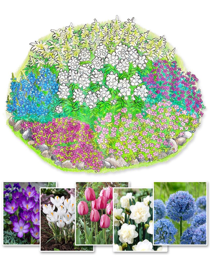 Lumoava-perennapenkki syyssipuleilla 98 kpl