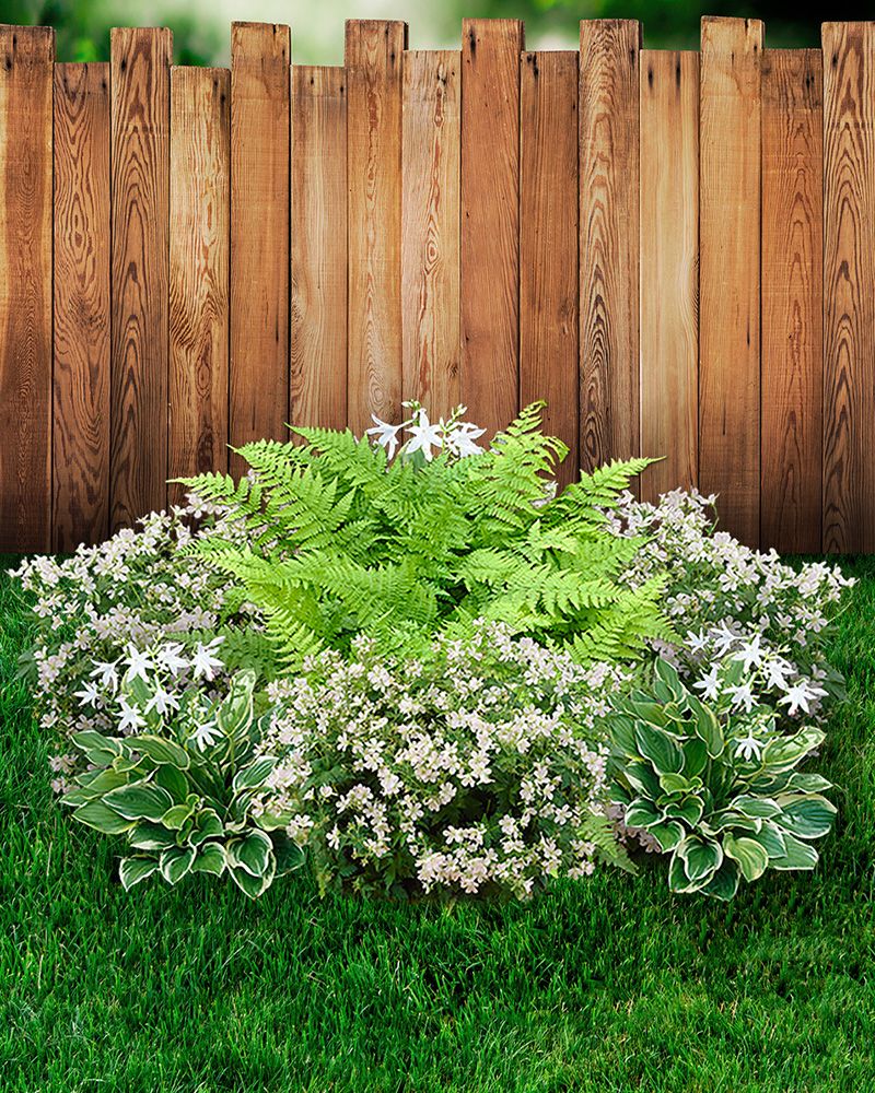 Metsäpuutarha -perennapenkki 9 kpl