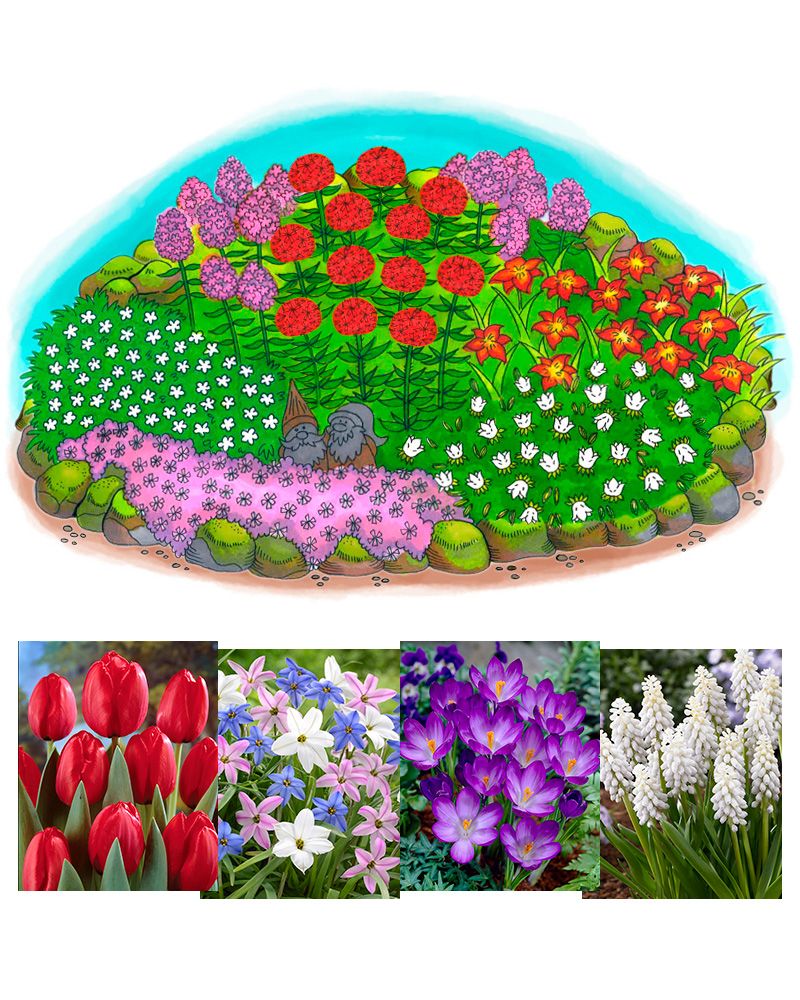 Kesälempi-perennapenkki syyssipuleilla 108 kpl