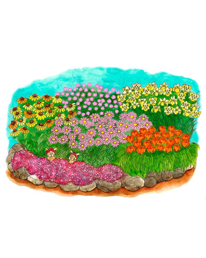 Hunajainen-perennapenkki 18 kpl