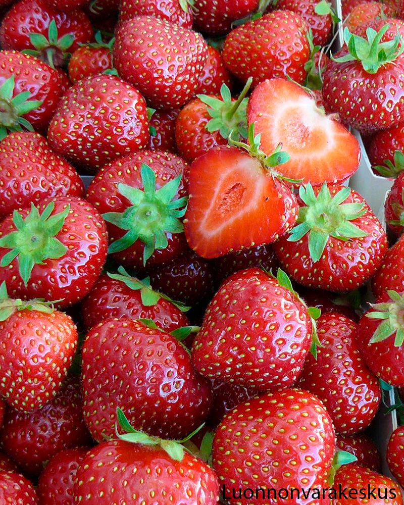 Mansikka Marketta 6 kpl