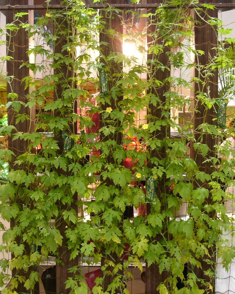 Juuttiverkko 1,8 x 1,8 m