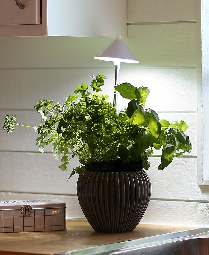 SunLite LED- kasvivalo valkoinen