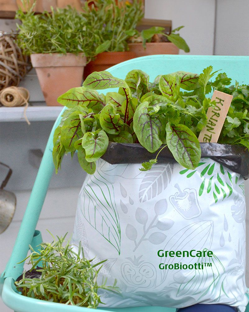 GreenCare Grobiootti kasvupussi Luomu 10 l