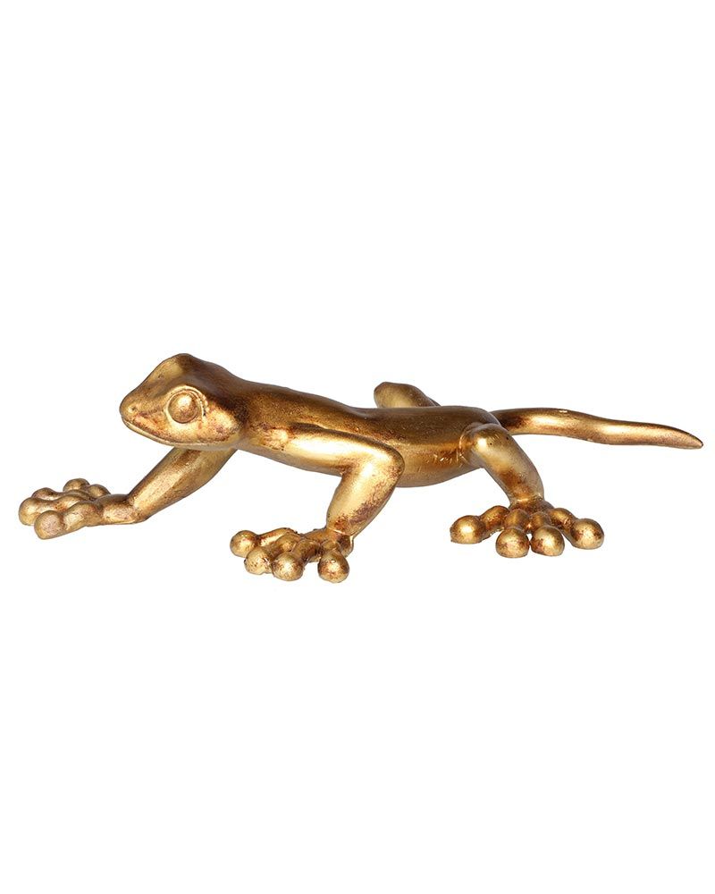 Gekko kultainen
