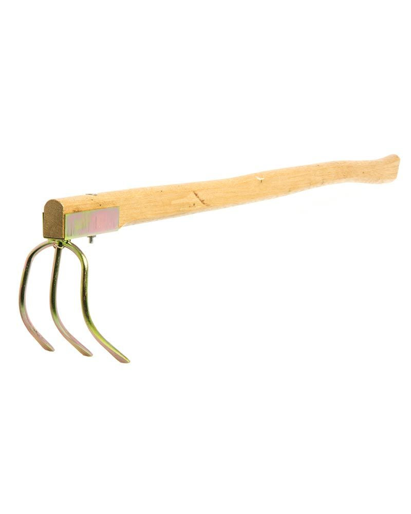 Perunakuokka puuvarrella