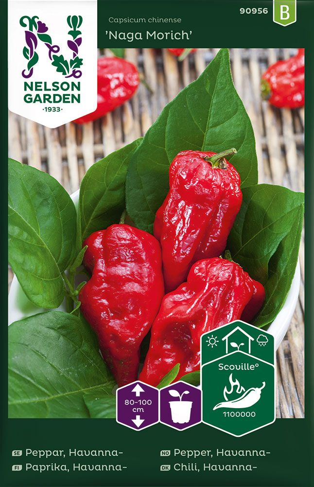 Havannapaprika Naga Morich