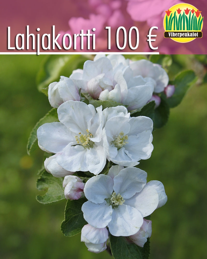 Puutarhalahjakortti