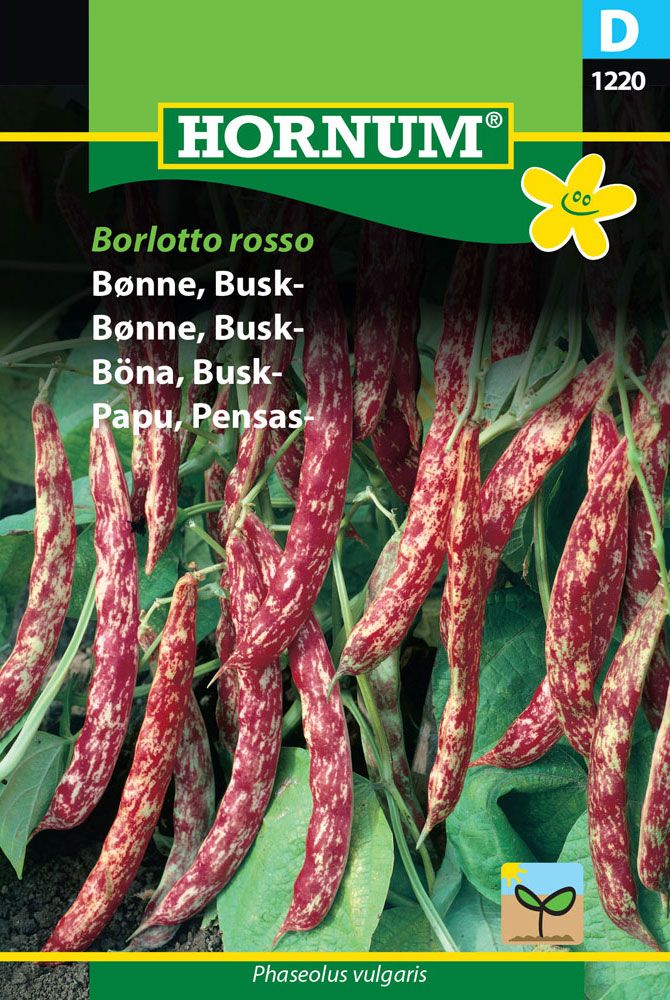 Pensaspapu Borlotto rosso