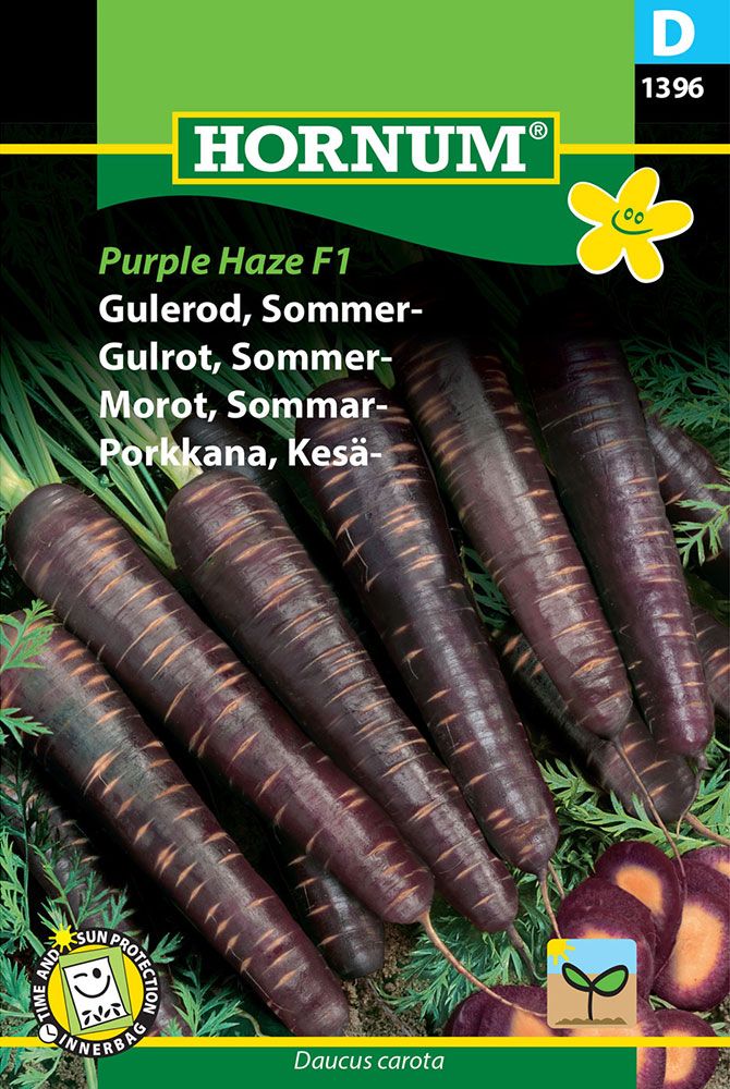 Kesäporkkana Purple Haze F1