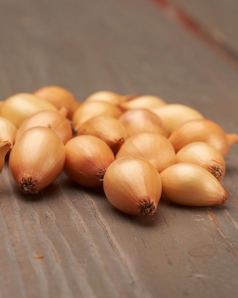 Ruokasipuli Sturon 500 g