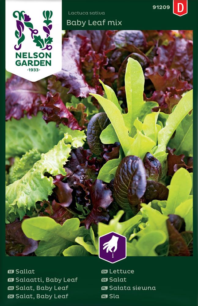 Baby Leaf -salaatti mix