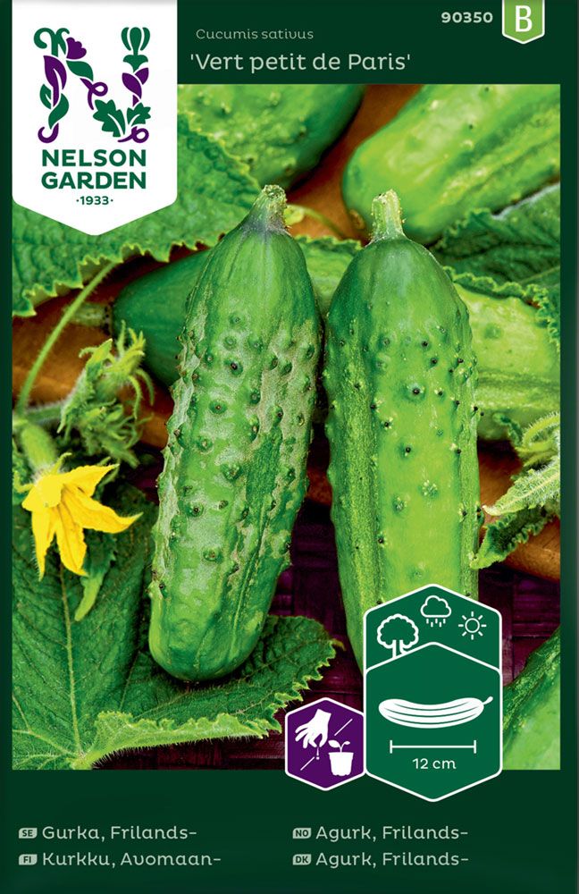 Avomaankurkku Vert petit de Paris