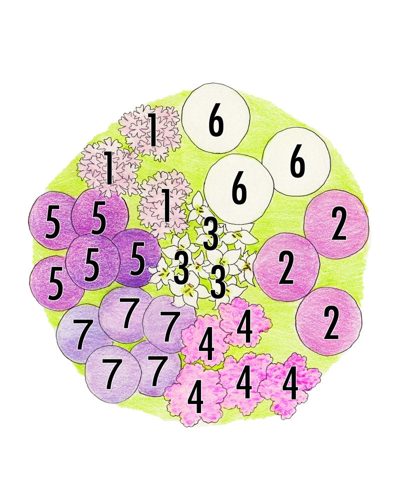 Suvitaika perennapenkki 34 kpl