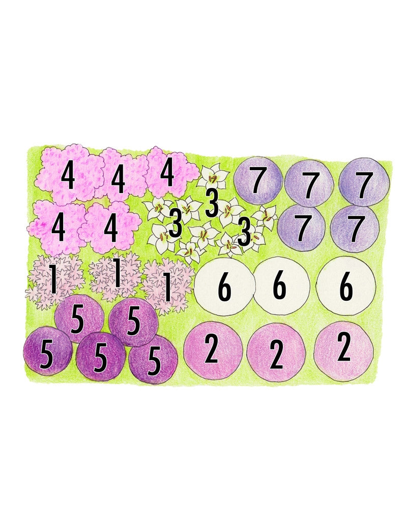 Suvitaika perennapenkki 34 kpl