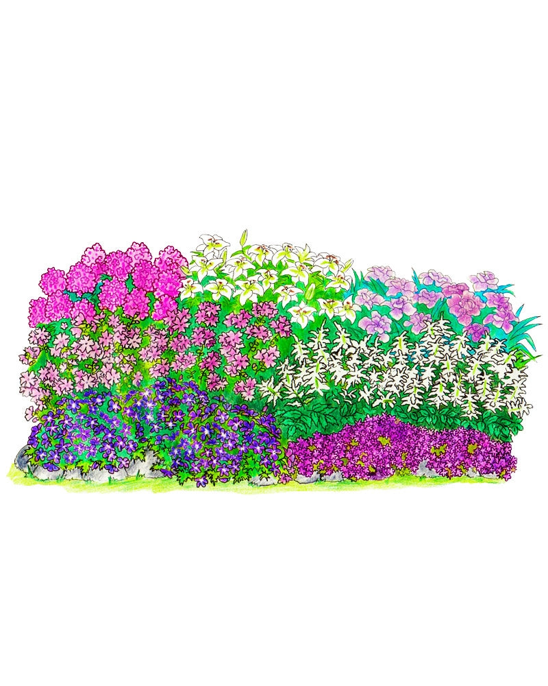 Suvitaika perennapenkki 34 kpl