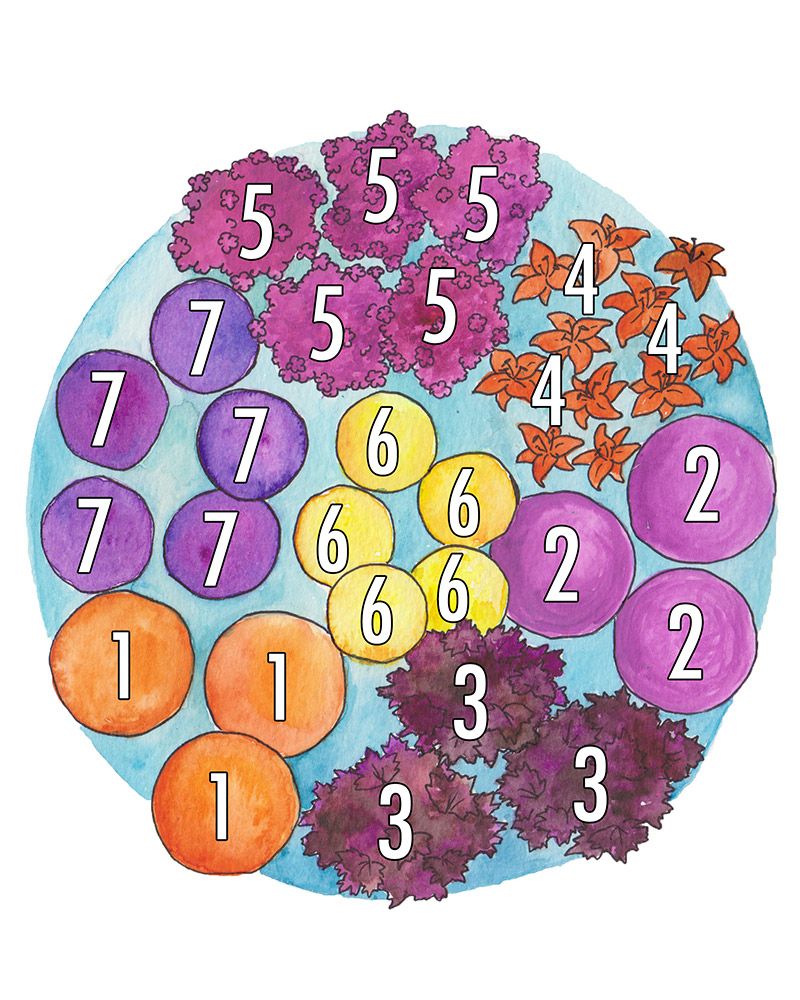 Iltarusko perennapenkki 34 kpl