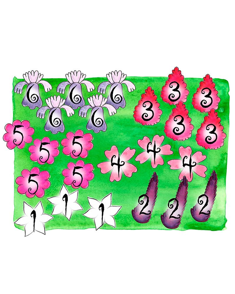Purppurakaunotar-perennapenkki 24 kpl