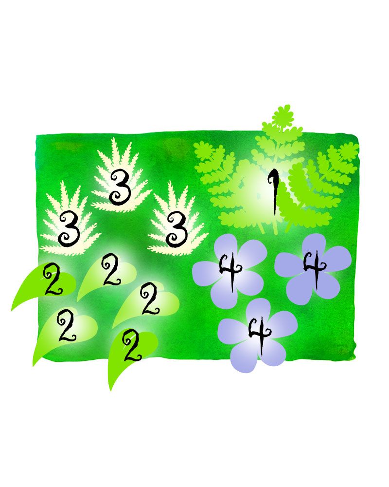Kuutamolla 2 -perennapenkki 12 kpl