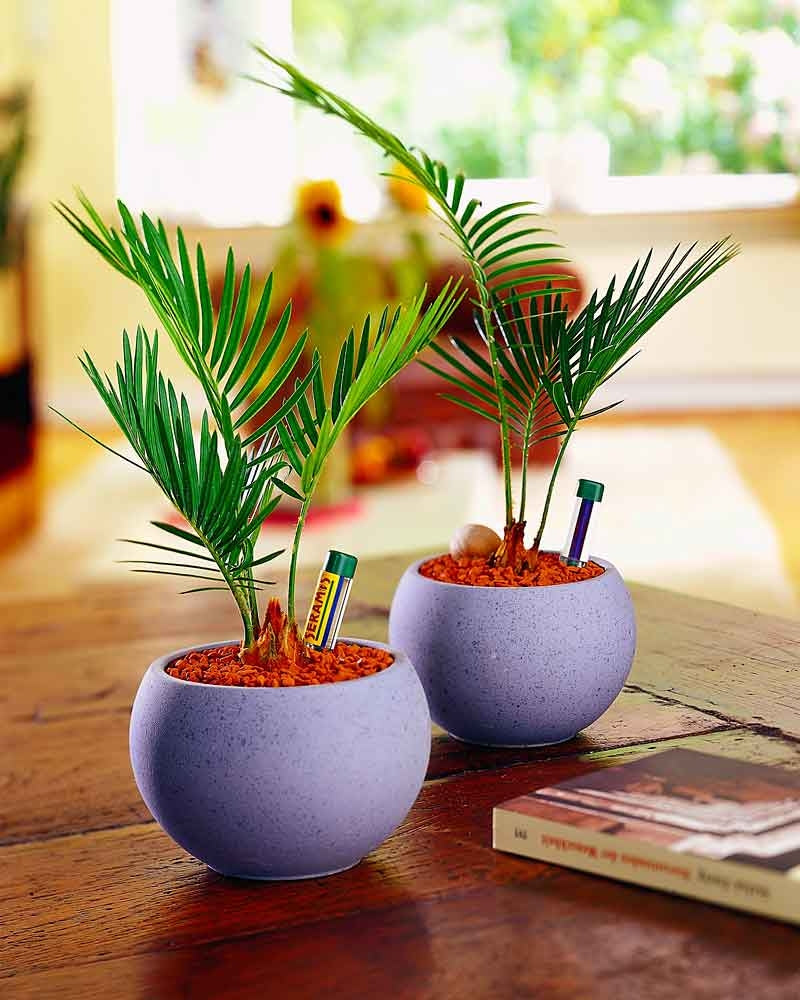 Seramis kastelumittari 30 cm 2 kpl