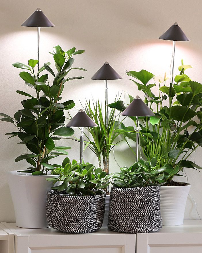 SunLite LED- kasvivalo harmaa