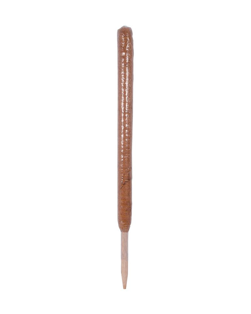 Tukikeppi puu/kookos 70 cm
