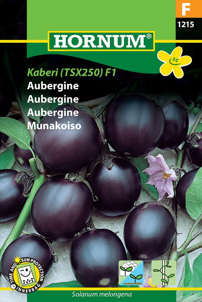 Munakoiso Kaberi F1